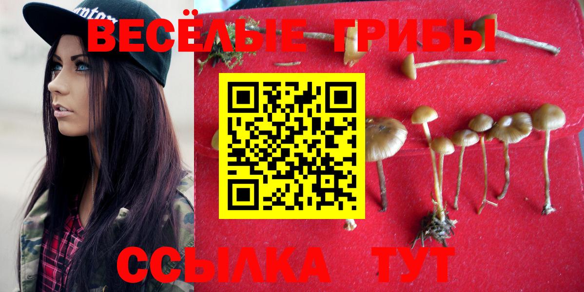 Псилоцибиновые грибы прущие грибы  Вход с VPN  Саяногорск 