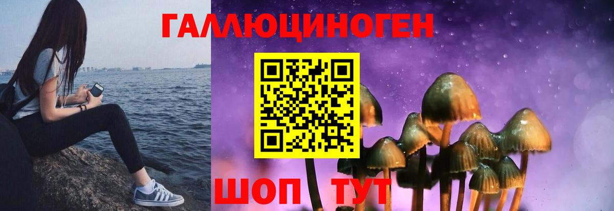 Галлюциногенные грибы GOLDEN TEACHER Саяногорск